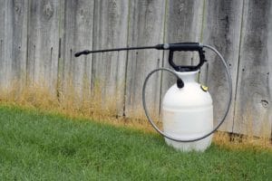 Pest spray — Pest Control in Winnellie, NT