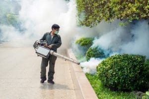Man smoking pests — Pest Control in Winnellie, NT