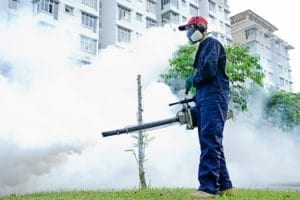 Man smoking pests — Pest Control in Winnellie, NT